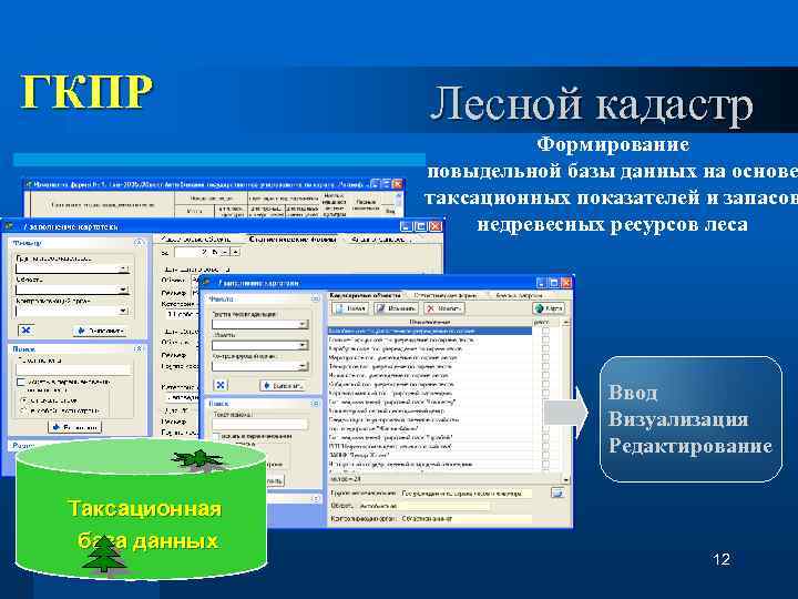  ГКПР Лесной кадастр Формирование повыдельной базы данных на основе таксационных показателей и запасов