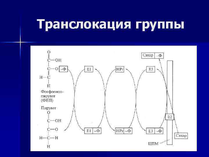 Транслокация группы 