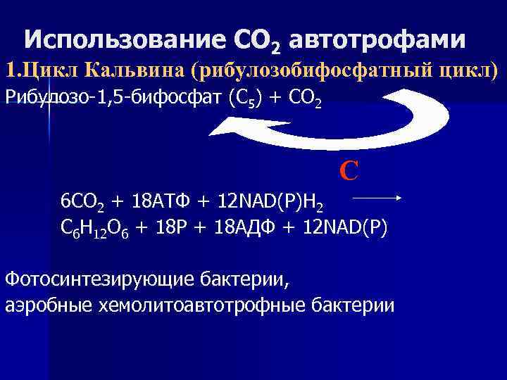 Использование СО 2 автотрофами 1. Цикл Кальвина (рибулозобифосфатный цикл) Рибулозо-1, 5 -бифосфат (С 5)