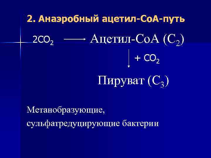 2. Анаэробный ацетил-Со. А-путь 2 СО 2 Ацетил-Со. А (С 2) + СО 2