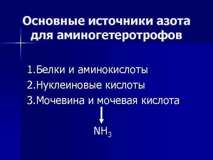 Основные источники азота для аминогетеротрофов 1. Белки и аминокислоты 2. Нуклеиновые кислоты 3. Мочевина