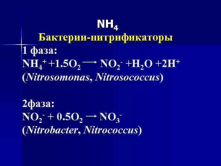 NH 4 Бактерии-нитрификаторы 1 фаза: NH 4+ +1. 5 O 2 NO 2 -