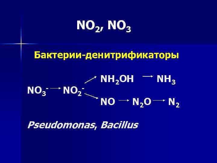 NO 2, NO 3 Бактерии-денитрификаторы NO 3 - NO 2 - NH 2 OH