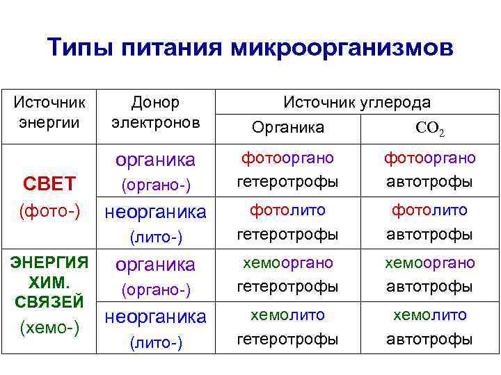 Типы питания бактерий