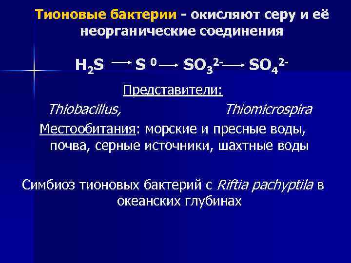 Тионовые бактерии - окисляют серу и её неорганические соединения H 2 S S 0
