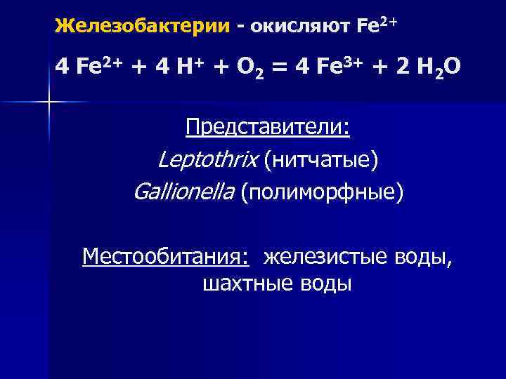 Железобактерии - окисляют Fe 2+ 4 Fe 2+ + 4 H+ + O 2