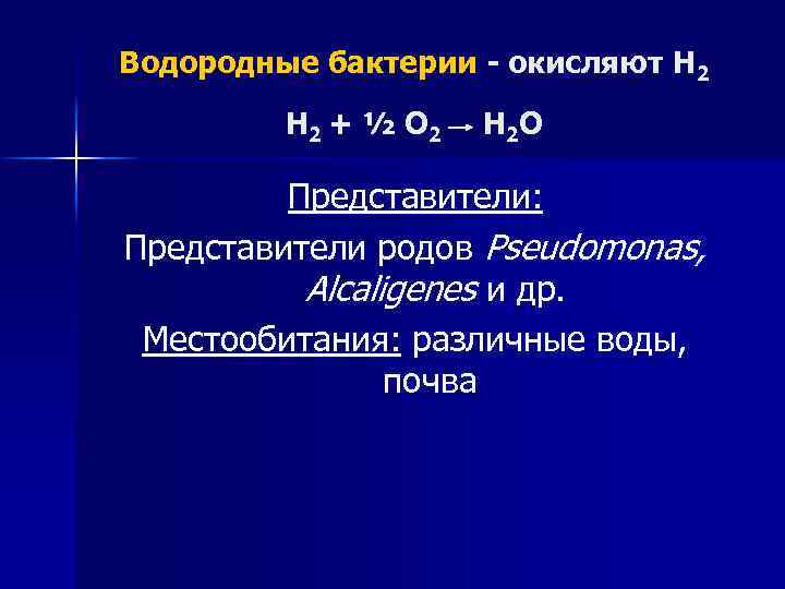 Водородные бактерии - окисляют H 2 + ½ O 2 H 2 O Представители: