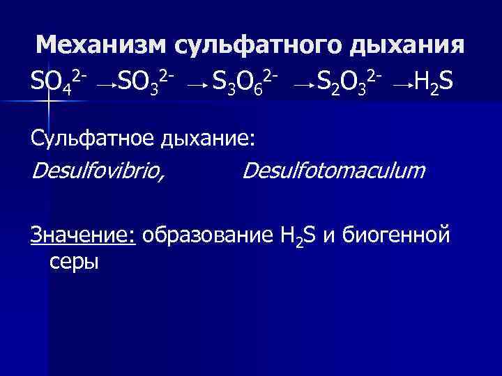 Механизм сульфатного дыхания SO 42 - SO 32 S 3 O 62 S 2