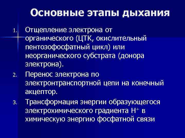 Основные этапы дыхания 1. 2. 3. Отщепление электрона от органического (ЦТК, окислительный пентозофосфатный цикл)