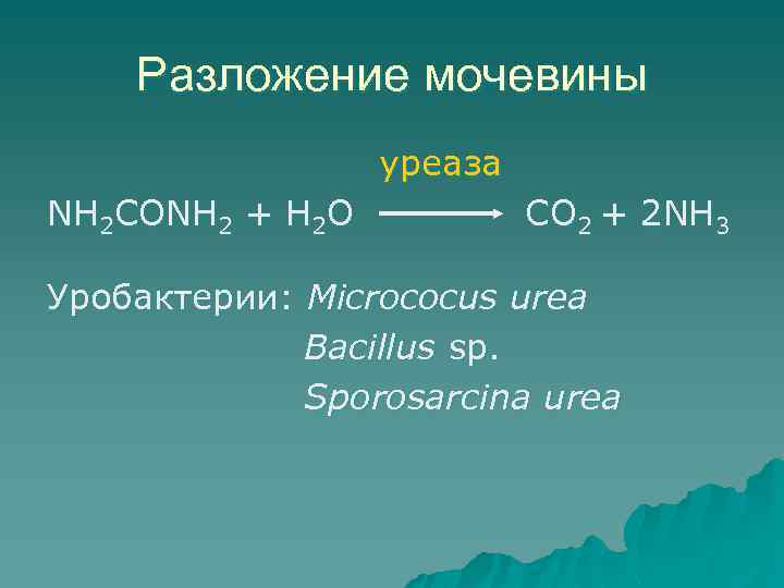 Cos nh3