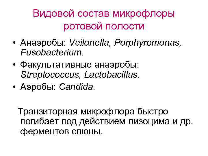 Видовой состав микрофлоры ротовой полости • Анаэробы: Veilonella, Porphyromonas, Fusobacterium. • Факультативные анаэробы: Streptococcus,