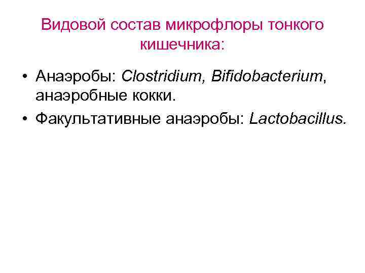 Видовой состав микрофлоры тонкого кишечника: • Анаэробы: Clostridium, Bifidobacterium, анаэробные кокки. • Факультативные анаэробы: