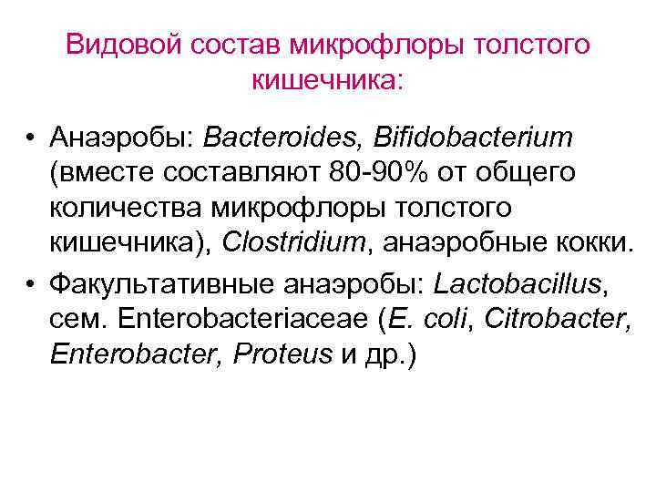 Видовой состав микрофлоры толстого кишечника: • Анаэробы: Bacteroides, Bifidobacterium (вместе составляют 80 -90% от