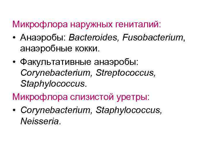 Микрофлора наружных гениталий: • Анаэробы: Bacteroides, Fusobacterium, анаэробные кокки. • Факультативные анаэробы: Corynebacterium, Streptococcus,