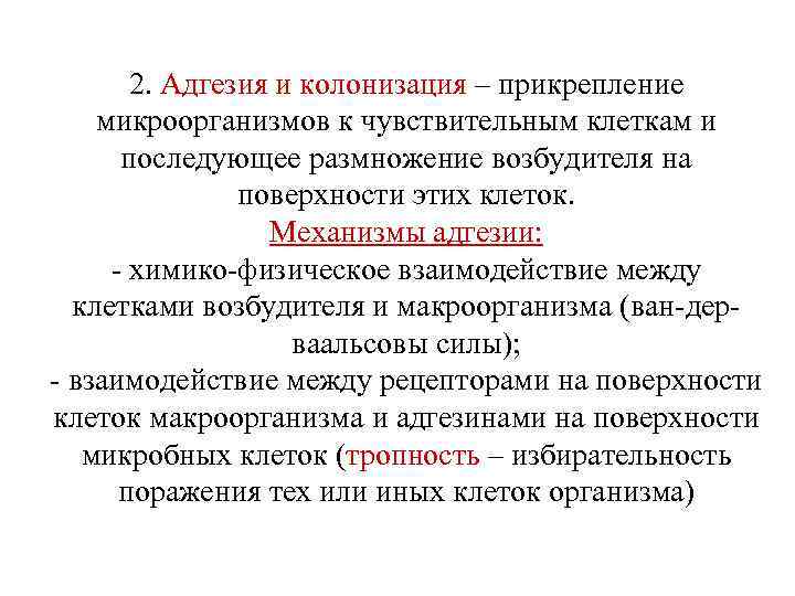  2. Адгезия и колонизация – прикрепление микроорганизмов к чувствительным клеткам и последующее размножение