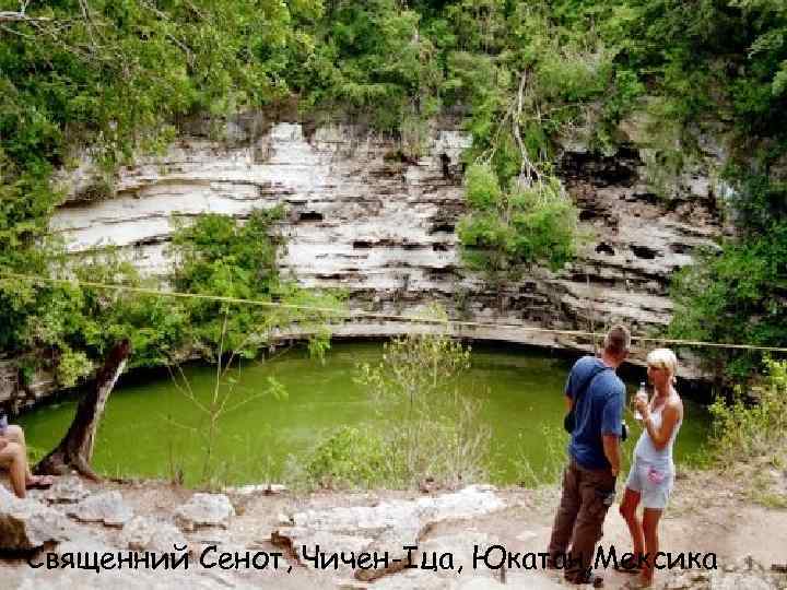 Священний Сенот, Чичен-Іца, Юкатан, Мексика 