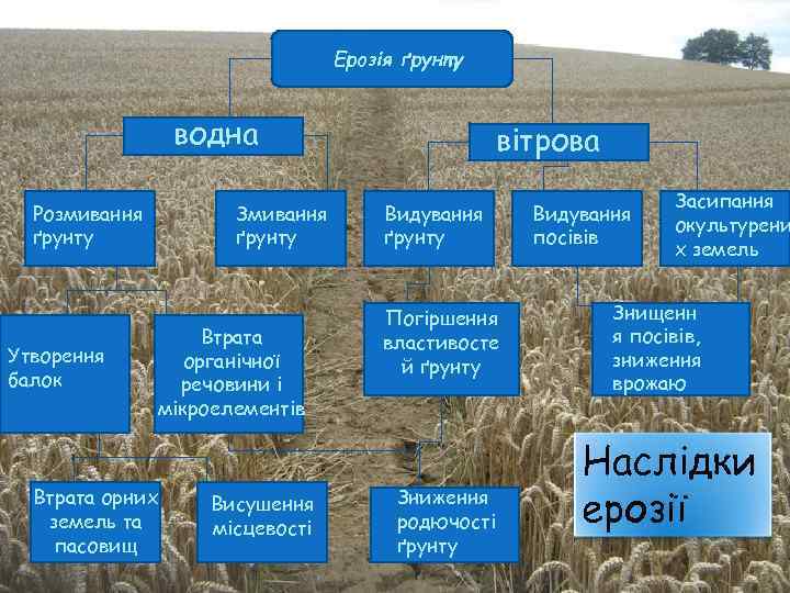 Ерозія ґрунту водна Розмивання ґрунту Утворення балок Змивання ґрунту Втрата органічної речовини і мікроелементів