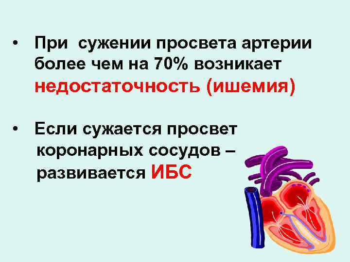  • При сужении просвета артерии более чем на 70% возникает недостаточность (ишемия) •