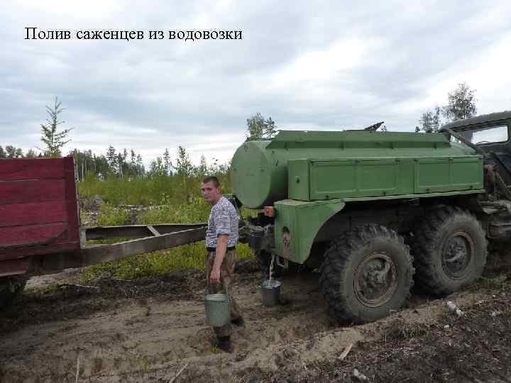 Полив саженцев из водовозки 