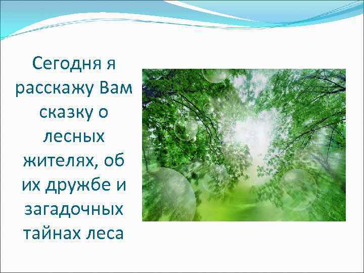 Сегодня я расскажу Вам сказку о лесных жителях, об их дружбе и загадочных тайнах