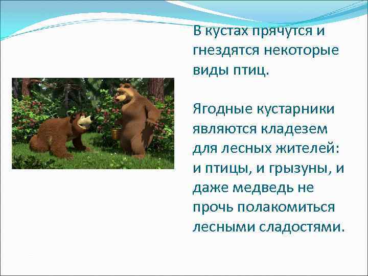 В кустах прячутся и гнездятся некоторые виды птиц. Ягодные кустарники являются кладезем для лесных