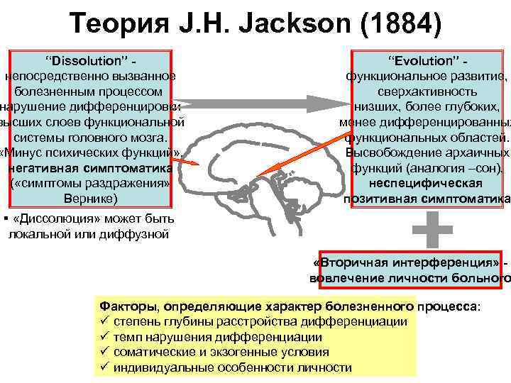  Теория J. H. Jackson (1884) “Dissolution” - “Evolution” - непосредственно вызванное функциональное развитие,