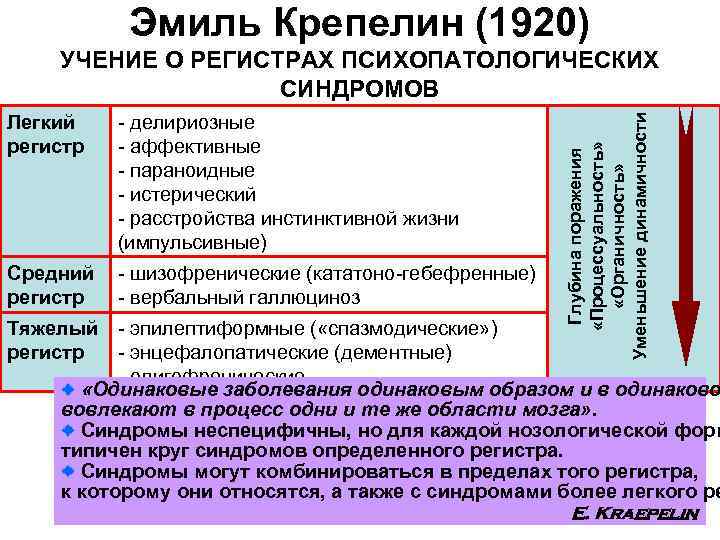  Эмиль Крепелин (1920) УЧЕНИЕ О РЕГИСТРАХ ПСИХОПАТОЛОГИЧЕСКИХ СИНДРОМОВ Легкий - делириозные Уменьшение динамичности