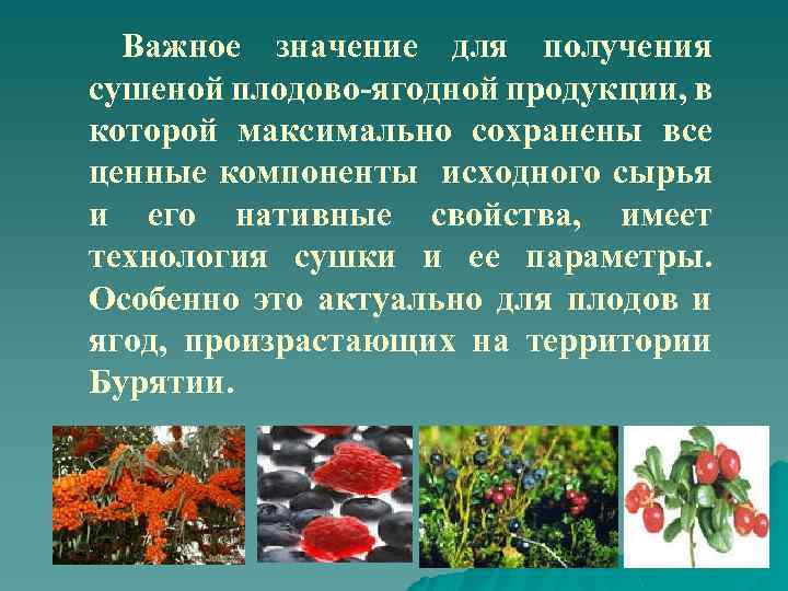 Важное значение для получения сушеной плодово-ягодной продукции, в которой максимально сохранены все ценные компоненты