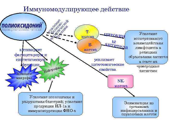 си буси нт ел ле ф ет ко ни ун ич в е кц