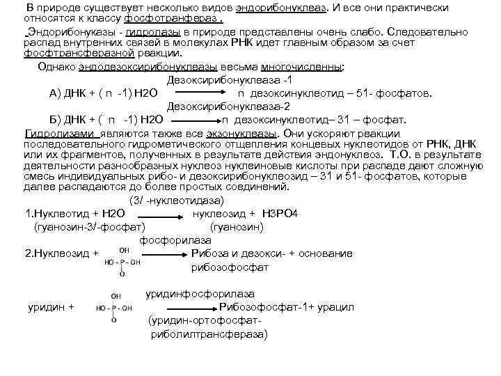 В природе существует несколько видов эндорибонуклеаз. И все они практически относятся к классу фосфотранфераз.