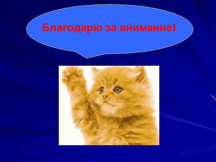 Благодарю за внимание! 