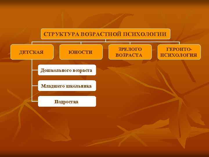 Структура возраста. Состав возрастной психологии. Структура возрастной психологии схема. Структура возраста в психологии развития. Структура современной возрастной психологии.