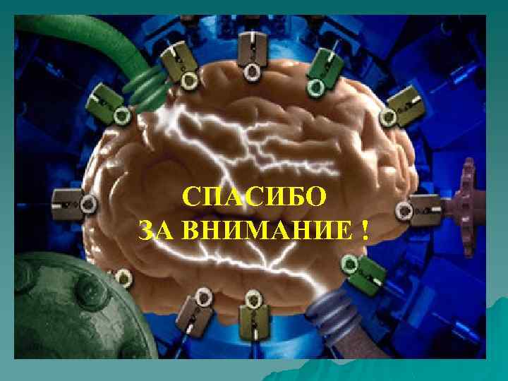 СПАСИБО ЗА ВНИМАНИЕ ! 