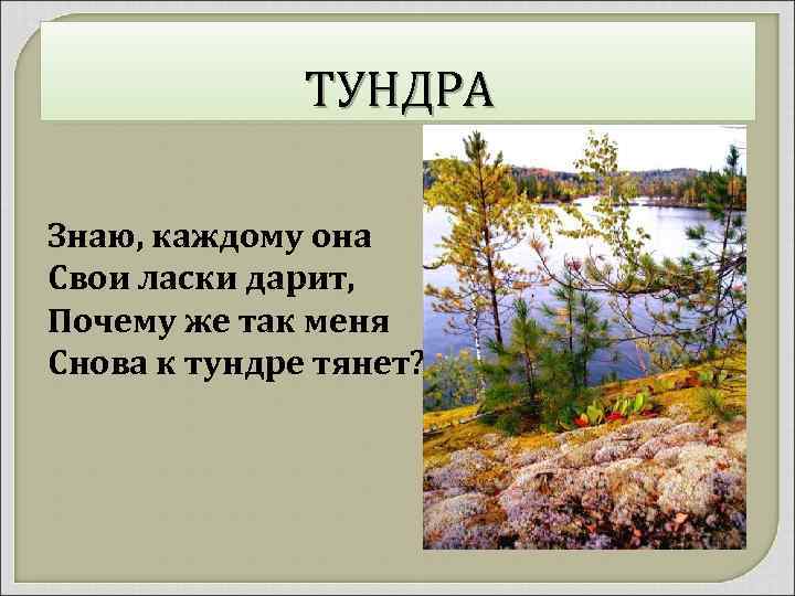 ТУНДРА Знаю, каждому она Свои ласки дарит, Почему же так меня Снова к тундре