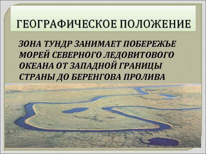 ГЕОГРАФИЧЕСКОЕ ПОЛОЖЕНИЕ ЗОНА ТУНДР ЗАНИМАЕТ ПОБЕРЕЖЬЕ МОРЕЙ СЕВЕРНОГО ЛЕДОВИТОВОГО ОКЕАНА ОТ ЗАПАДНОЙ ГРАНИЦЫ СТРАНЫ