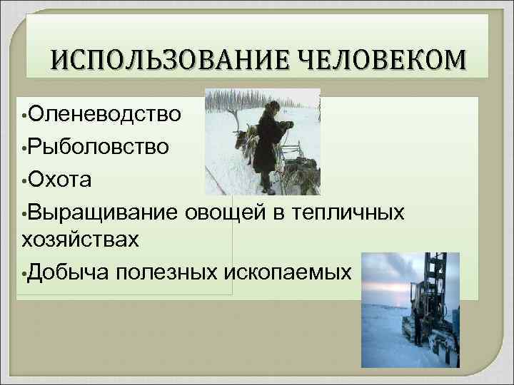 ИСПОЛЬЗОВАНИЕ ЧЕЛОВЕКОМ • Оленеводство • Рыболовство • Охота • Выращивание овощей в тепличных хозяйствах