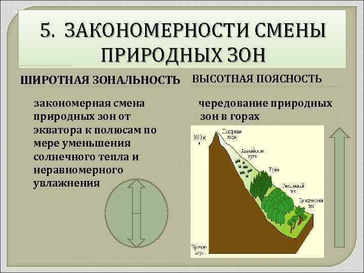 5. ЗАКОНОМЕРНОСТИ СМЕНЫ ПРИРОДНЫХ ЗОН ШИРОТНАЯ ЗОНАЛЬНОСТЬ ВЫСОТНАЯ ПОЯСНОСТЬ закономерная смена природных зон от