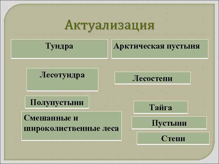 Актуализация Тундра Арктическая пустыня Лесотундра Полупустыни Смешанные и широколиственные леса Лесостепи Тайга Пустыни Степи