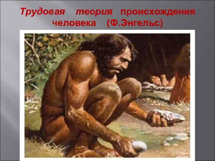 Трудовая теория происхождения человека (Ф. Энгельс) 