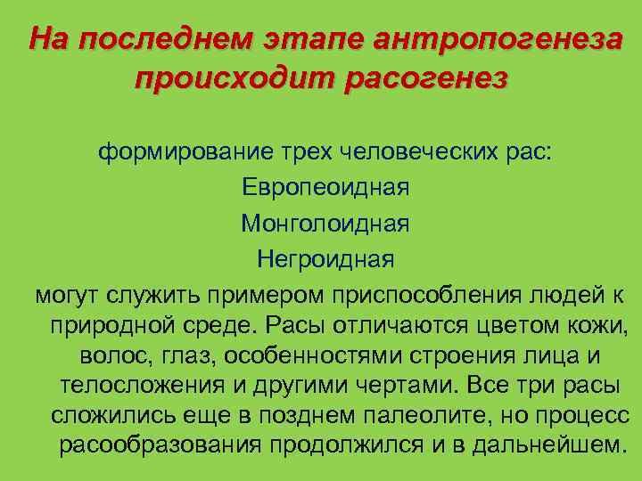 На последнем этапе антропогенеза происходит расогенез формирование трех человеческих рас: Европеоидная Монголоидная Негроидная могут