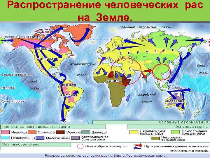Распространение человеческих рас на Земле. 