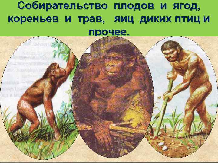 Собирательство плодов и ягод, кореньев и трав, яиц диких птиц и прочее. 