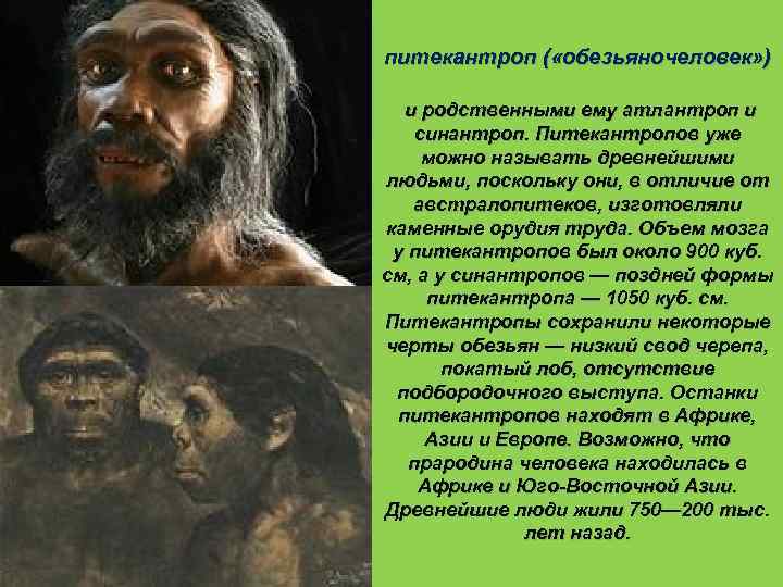    Неандерталец  Объем мозга неандертальца — от   1200 до