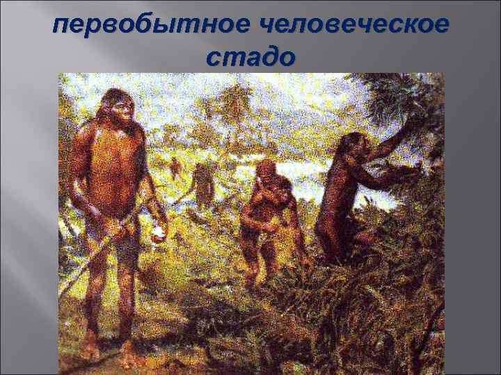 первобытное человеческое   стадо 