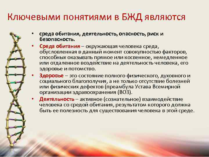 Ключевыми понятиями в БЖД являются • среда обитания, деятельность, опасность, риск и безопасность. •