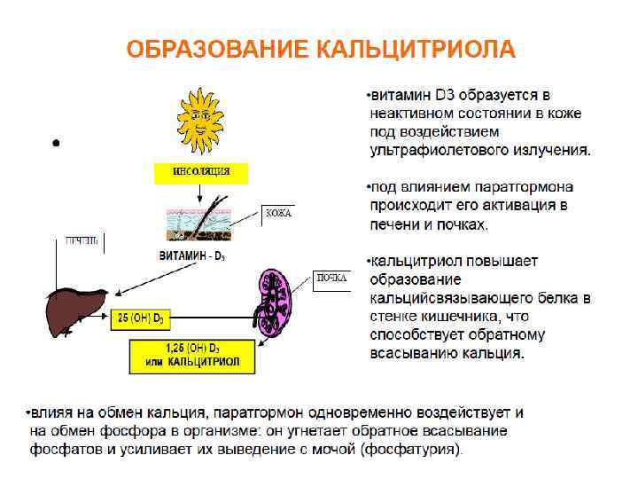 Схема синтеза кальцитриола