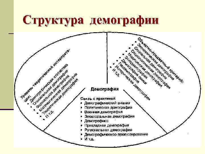 Структура демографии 
