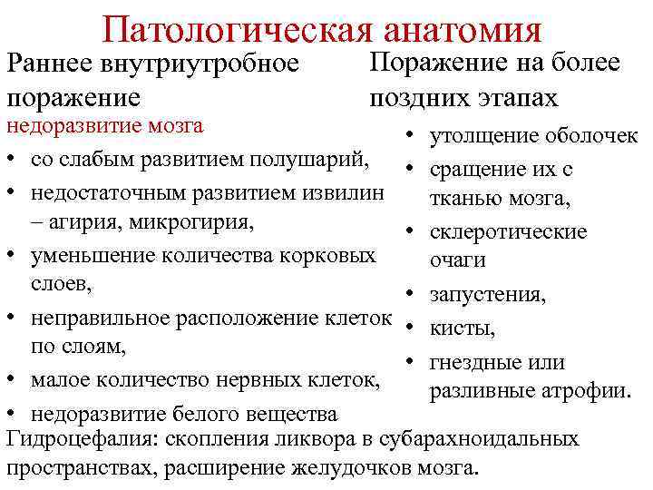 Патологическая анатомия Раннее внутриутробное поражение Поражение на более поздних этапах недоразвитие мозга • утолщение