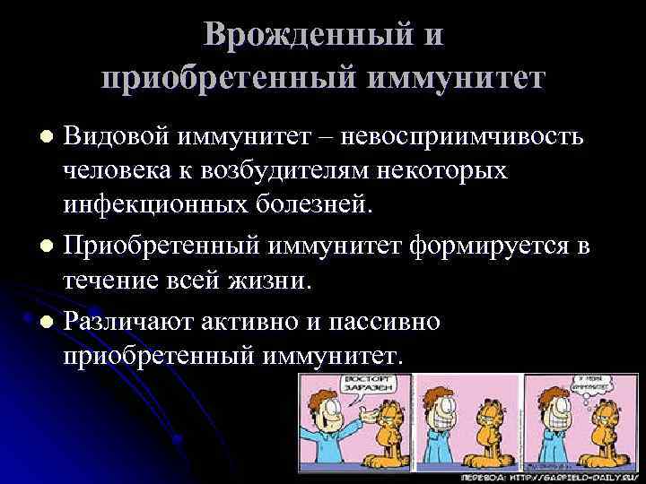Активно и пассивно приобретенный иммунитет l Активно l Пассивно Активно и пассивно приобретенный иммунитет l Активно l Пассивно