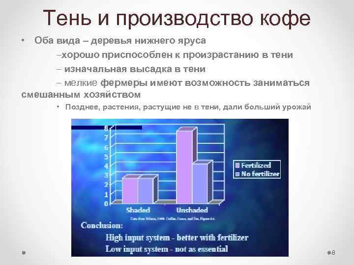 Тень и производство кофе • Оба вида – деревья нижнего яруса –хорошо приспособлен к